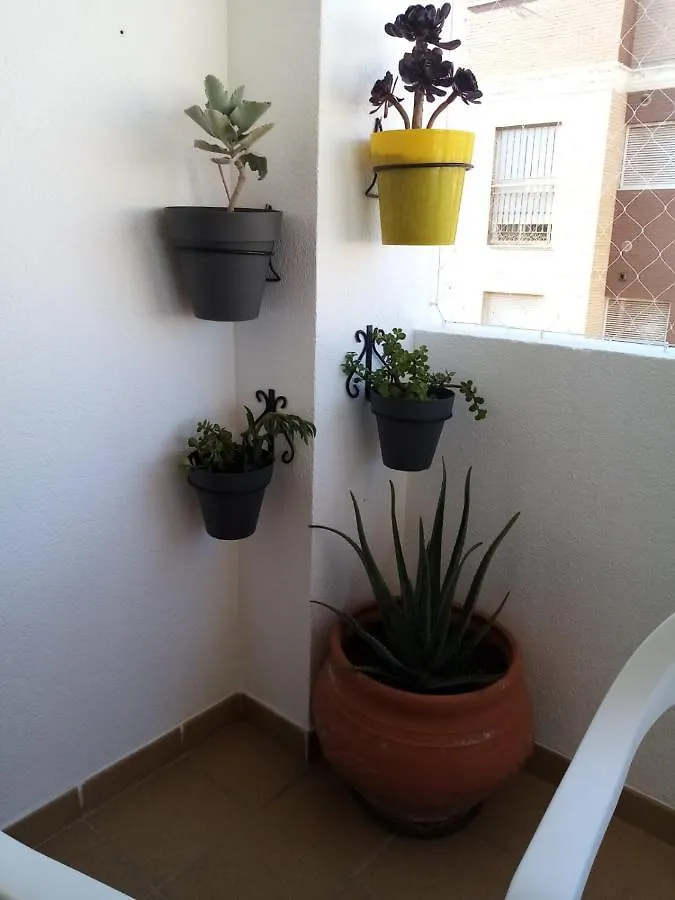 Apartamento Con Terraza Apartment Algaida  Spain